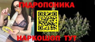 дмт Гатчина