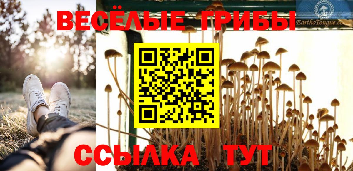 Псилоцибиновые грибы мухоморы Луга