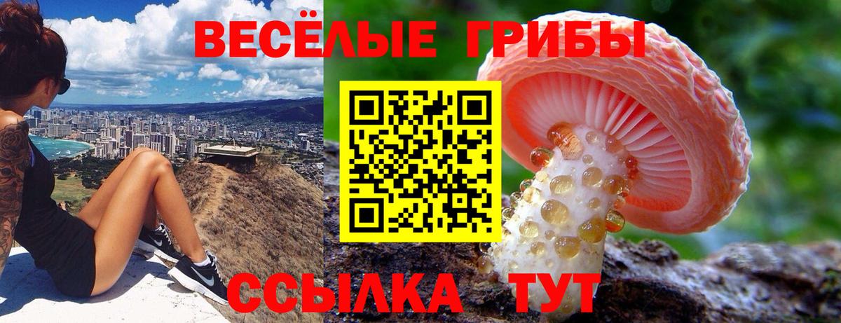 Луга  Псилоцибиновые грибы ЛСД  Вход с VPN 
